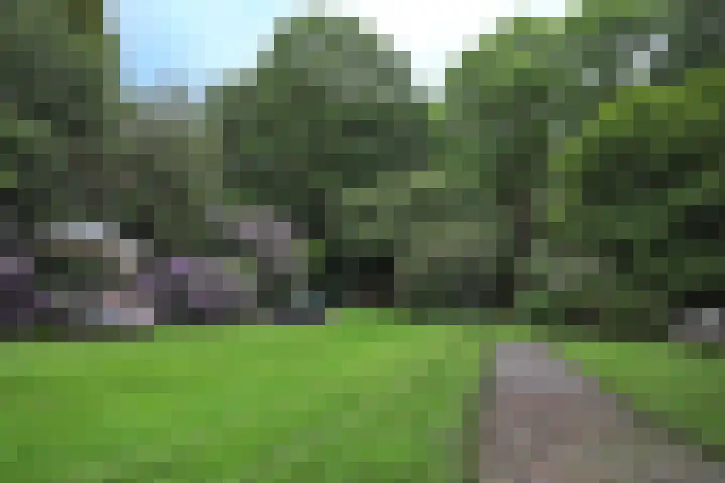 Plantagebaan 221 Wouwse Plantage thumbnail 66