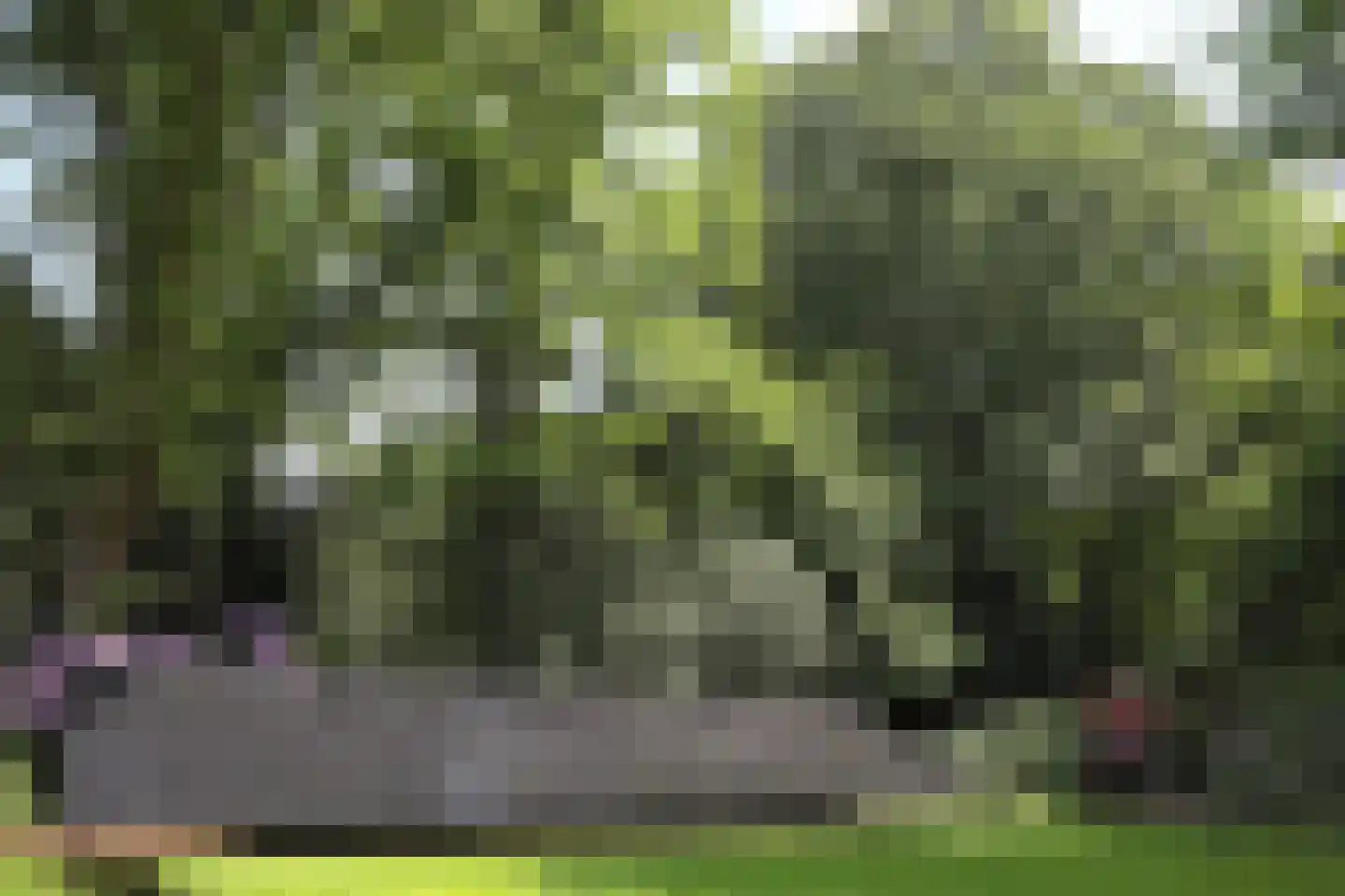 Plantagebaan 221 Wouwse Plantage thumbnail 68