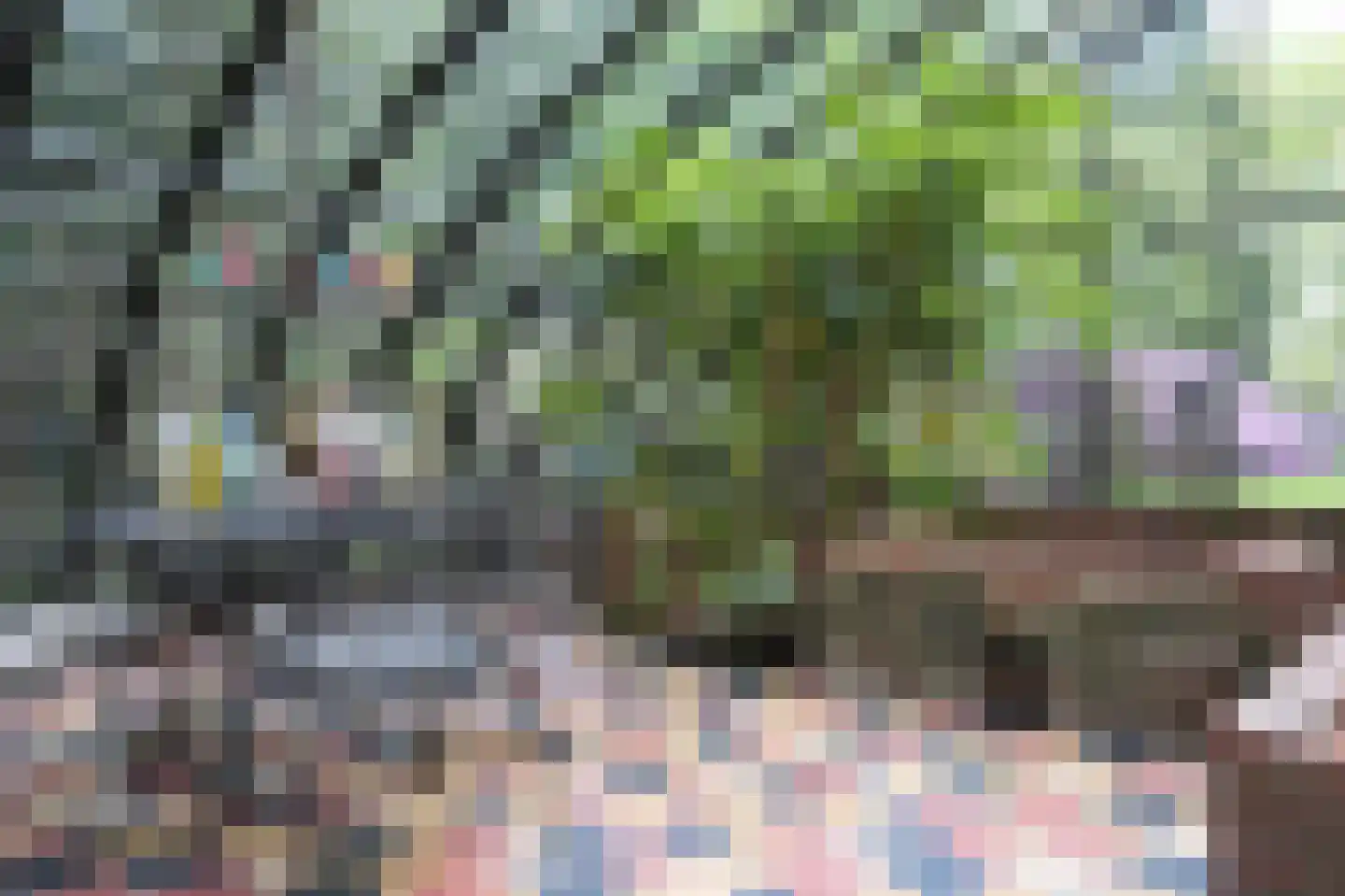 Plantagebaan 221 Wouwse Plantage thumbnail 69