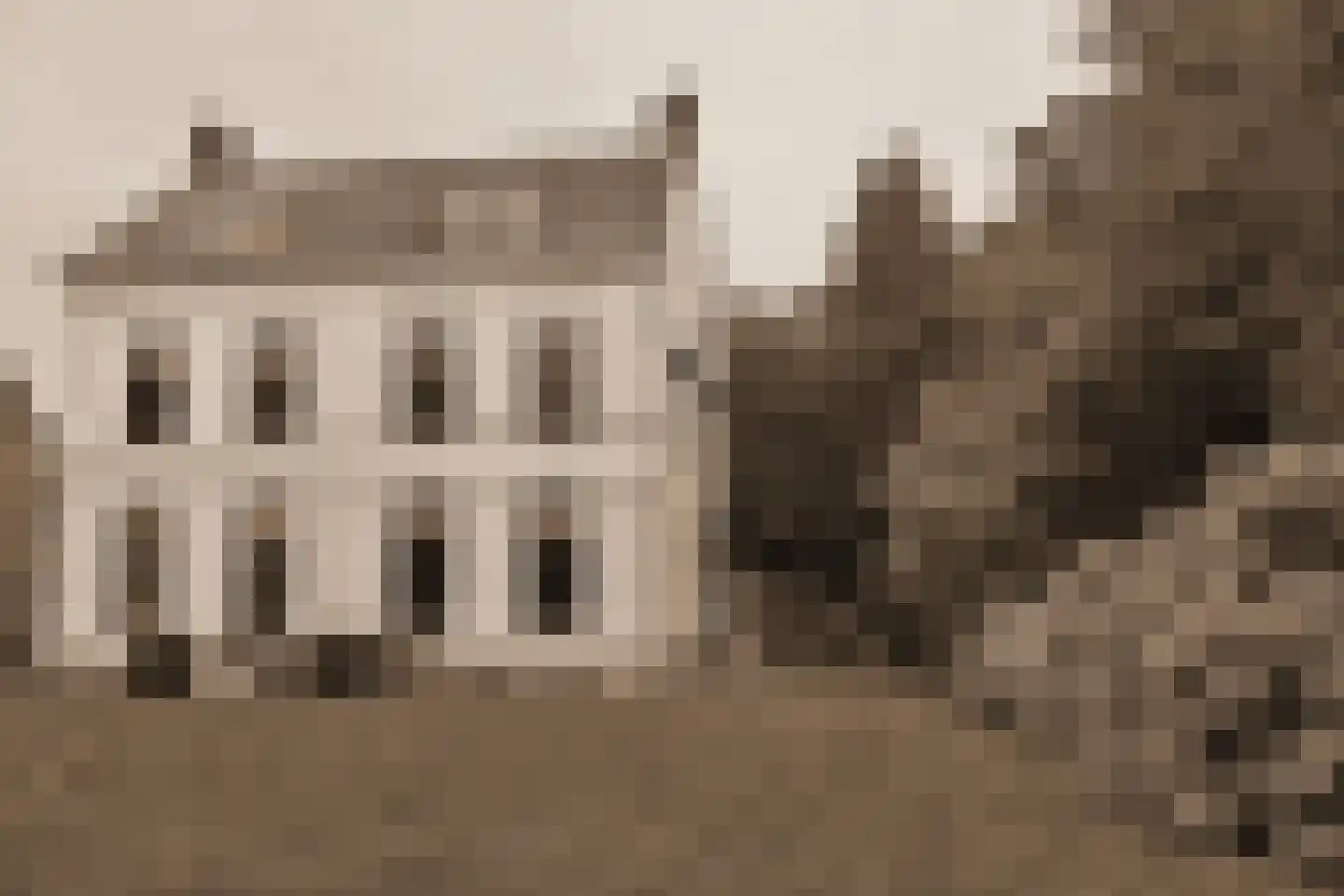 Plantagebaan 221 Wouwse Plantage thumbnail 70