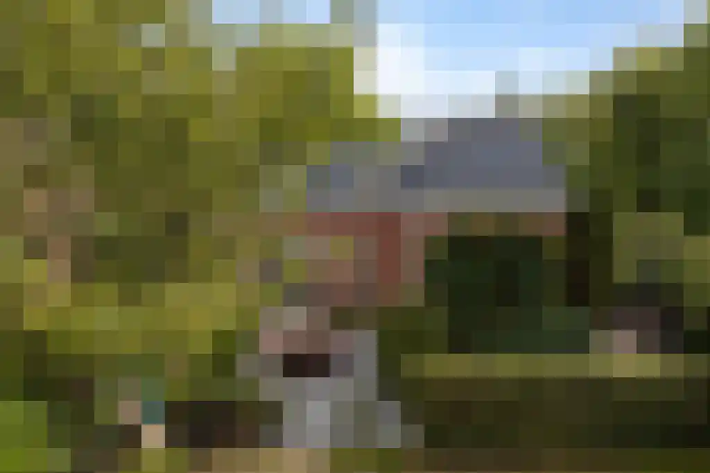 Plantagebaan 224 Wouwse Plantage thumbnail 33