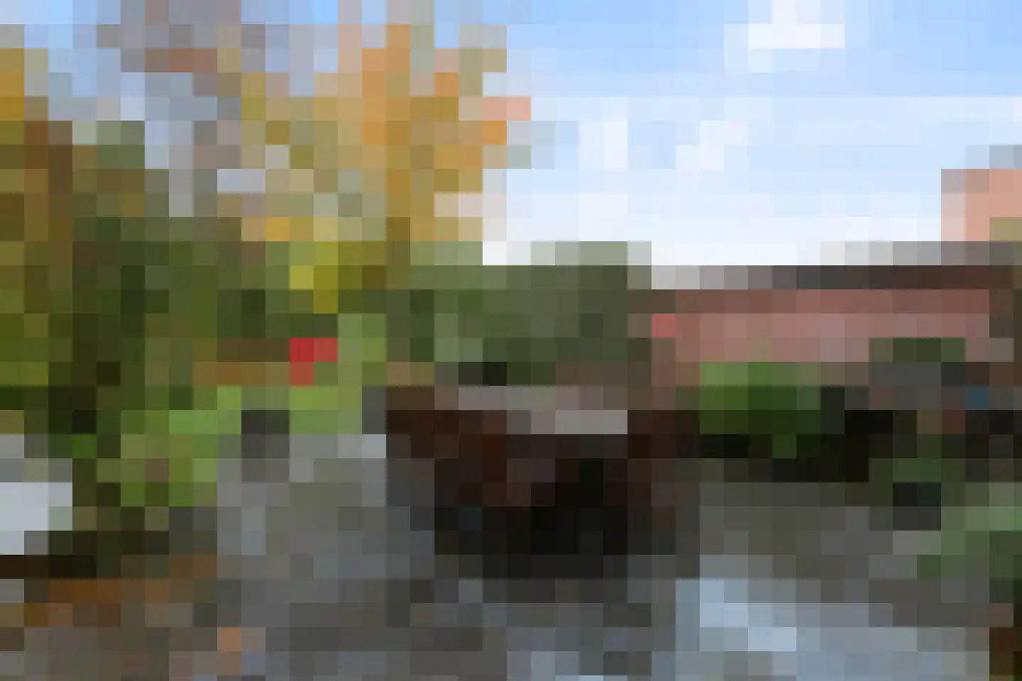 Plantagebaan 224 Wouwse Plantage thumbnail 34
