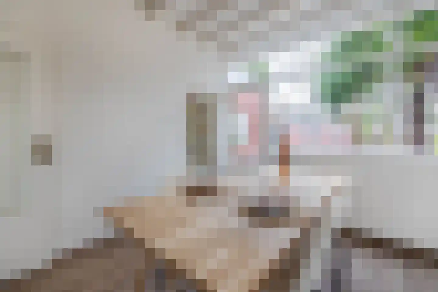 Plantagehof 14 Tilburg thumbnail 13