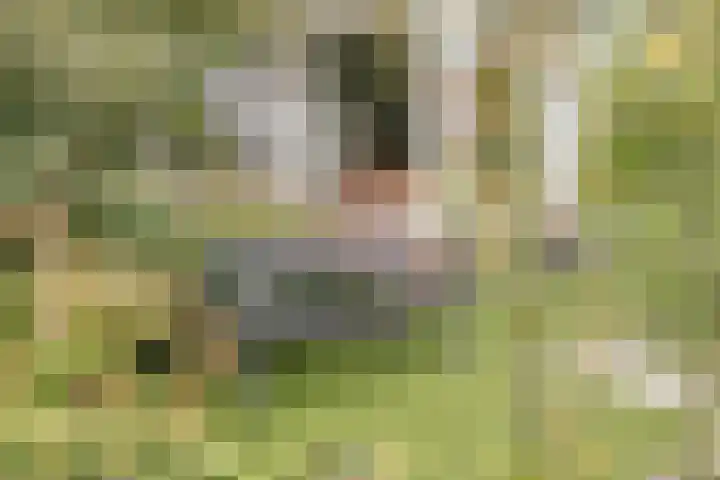 Plantagehof 9 Tilburg thumbnail 10