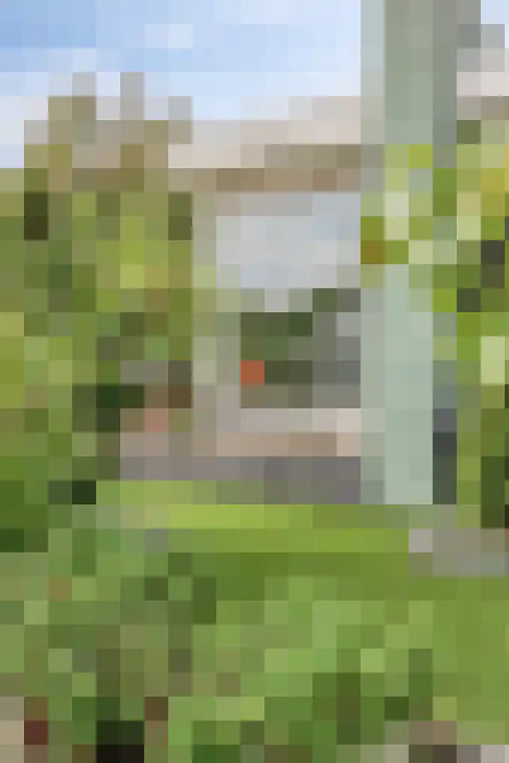 Plantagehof 9 Tilburg thumbnail 18