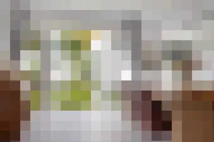 Plantagehof 9 Tilburg thumbnail 22
