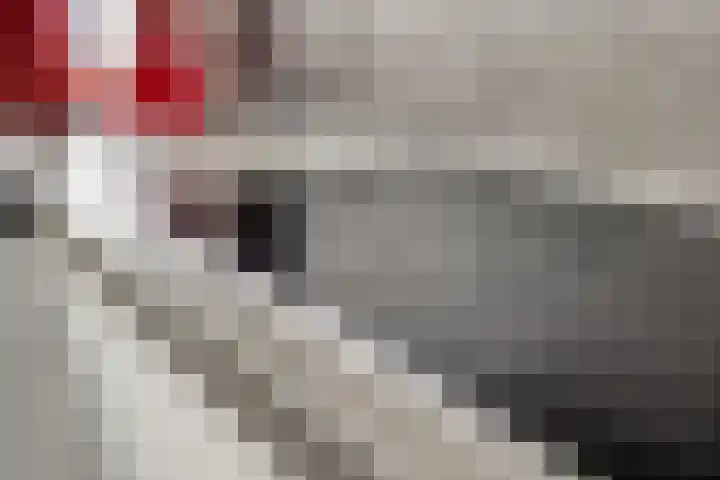 Plantagehof 9 Tilburg thumbnail 28