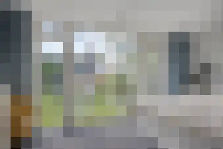 Plantagehof 9 Tilburg thumbnail 34