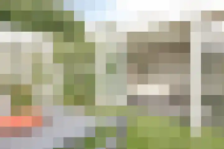 Plantagehof 9 Tilburg thumbnail 38