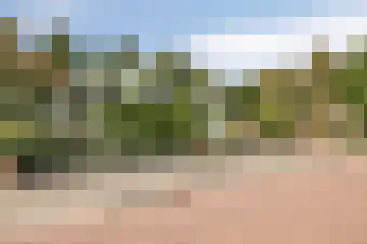 Plantagehof 9 Tilburg thumbnail 6