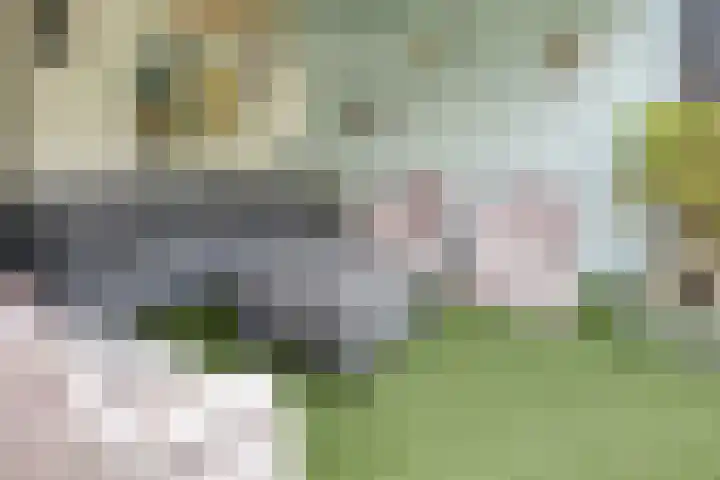 Plantagehof 9 Tilburg thumbnail 61