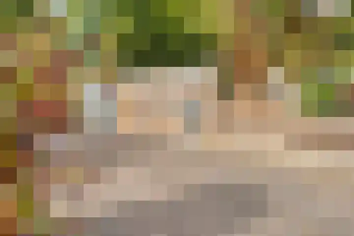 Plantagehof 9 Tilburg thumbnail 9