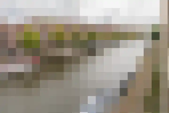 Plantagekade 26 Amsterdam thumbnail 19