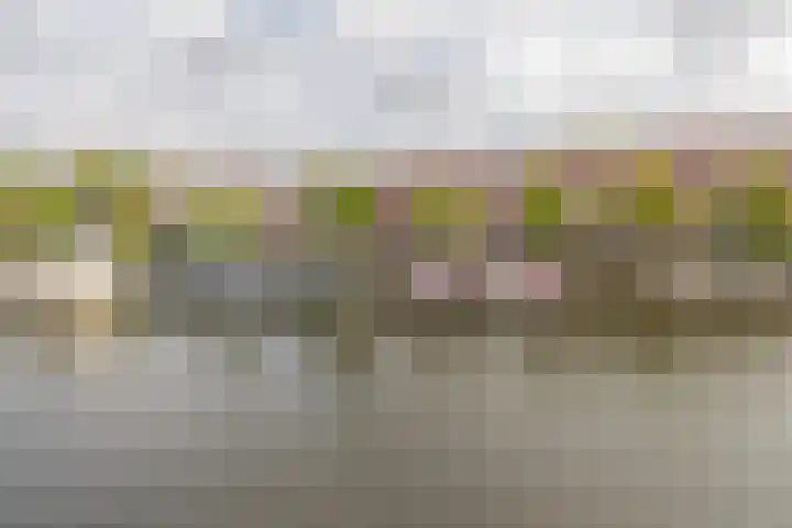 Plantagekade 26 Amsterdam thumbnail 20