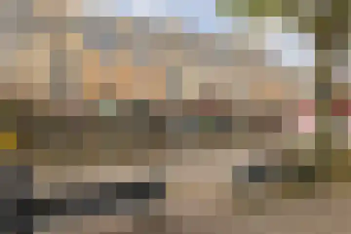 Plantagekade 26 Amsterdam thumbnail 21
