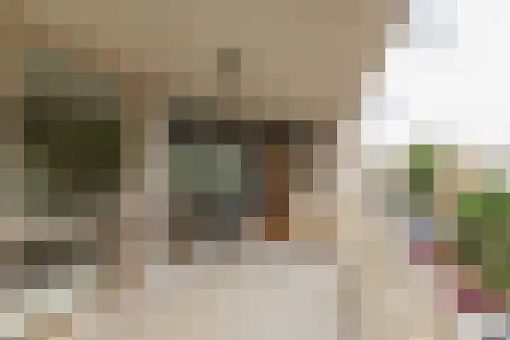 Plantagekade 26 Amsterdam thumbnail 7