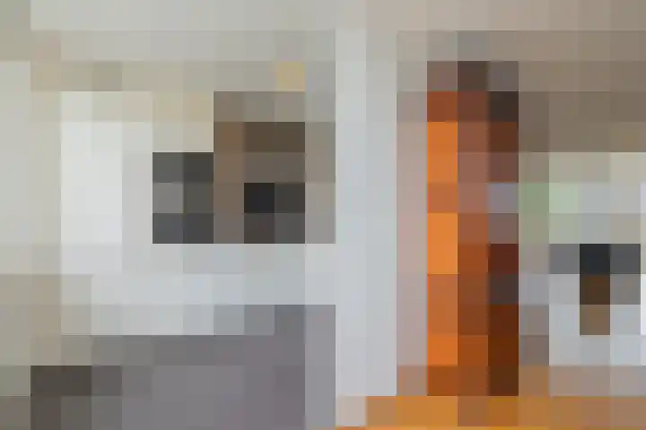 Plantagekade 26 Amsterdam thumbnail 9
