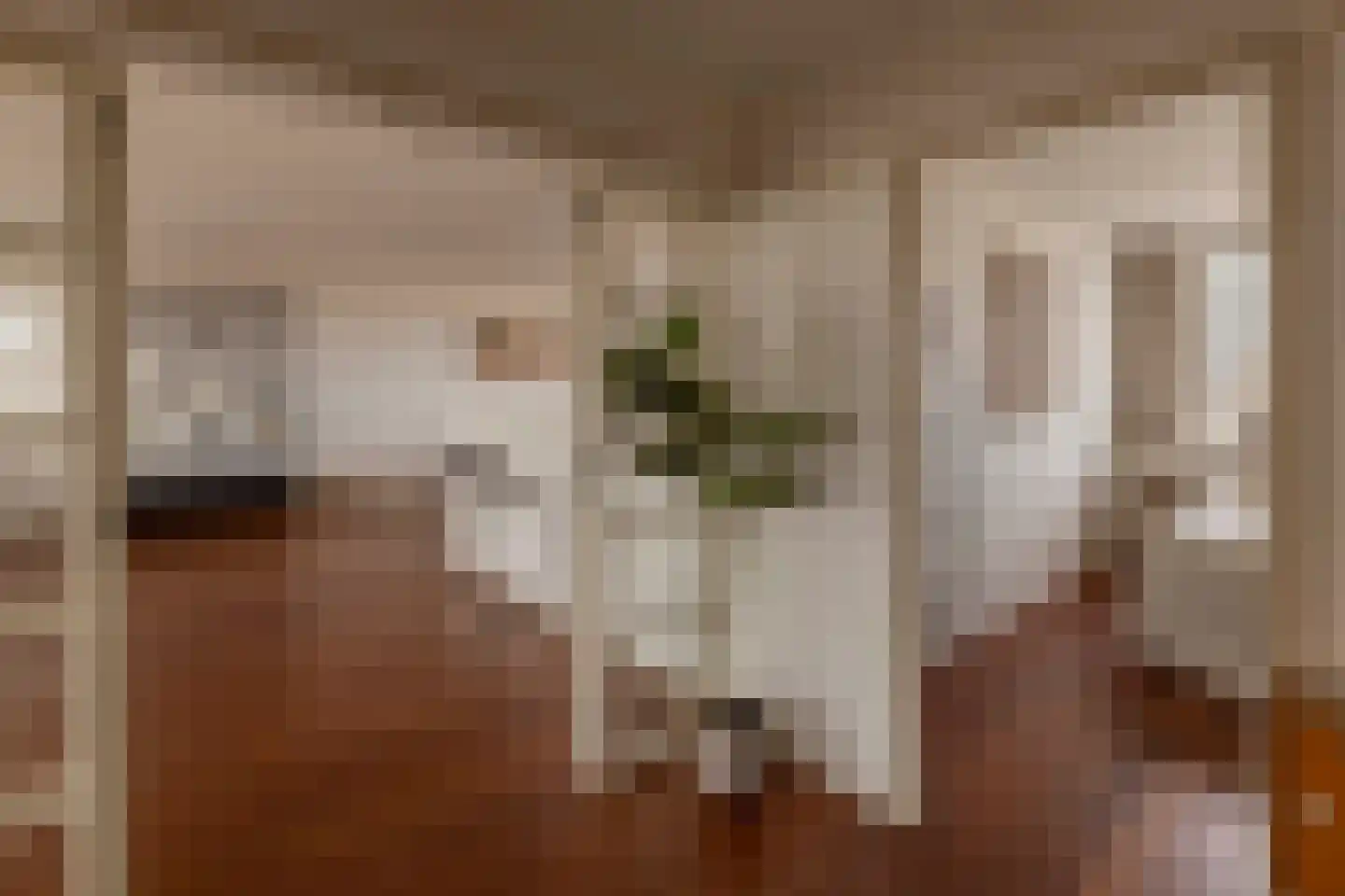 Plantagekade 32 Amsterdam thumbnail 16