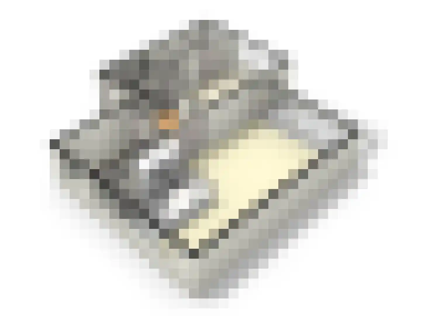 Plantagekade 32 Amsterdam thumbnail 47