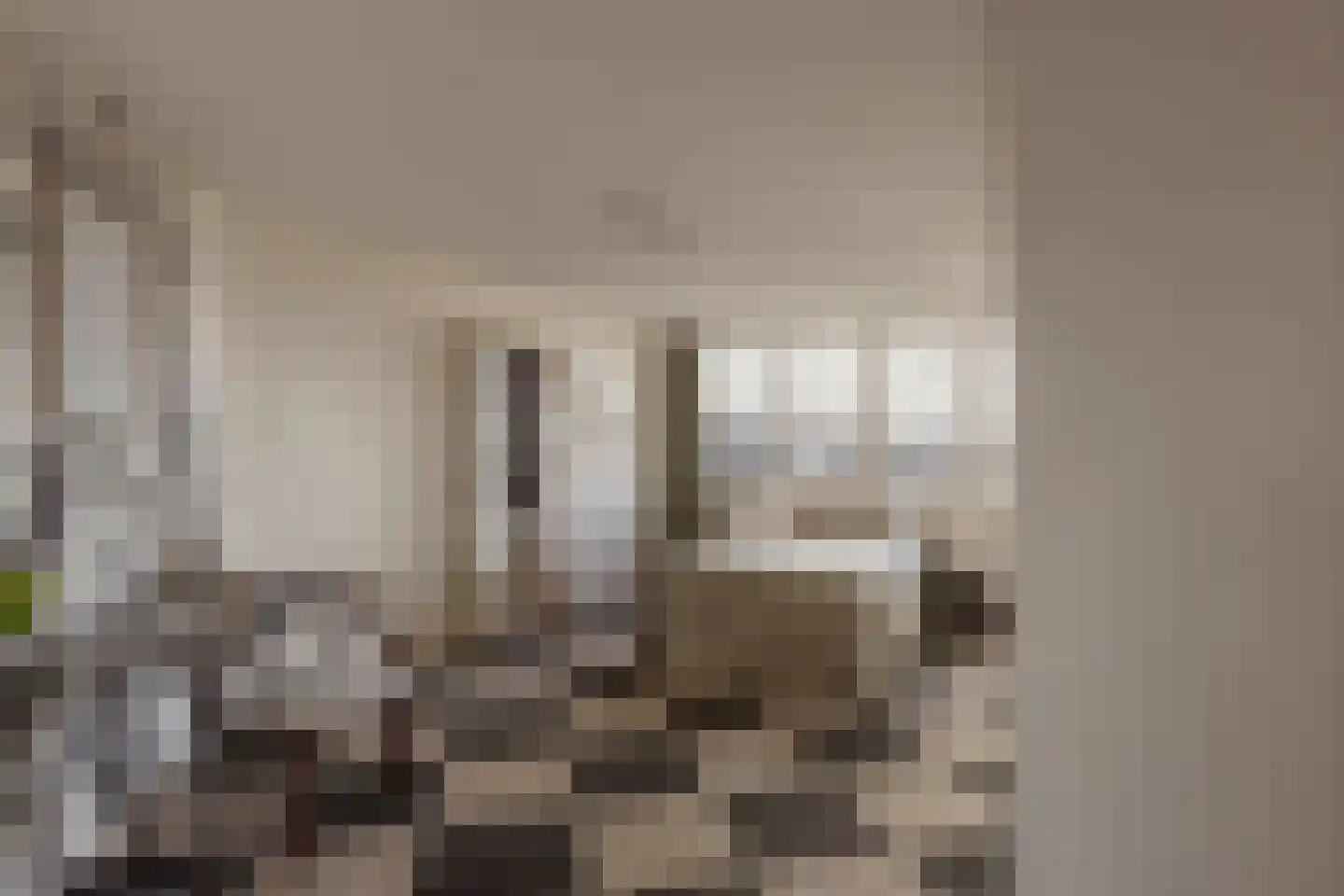 Plantagekade 32 Amsterdam thumbnail 6