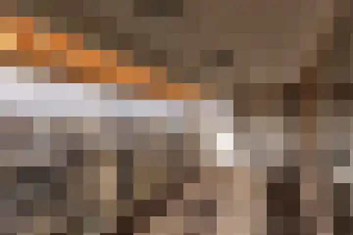 Plantagekade 32 Amsterdam thumbnail 9