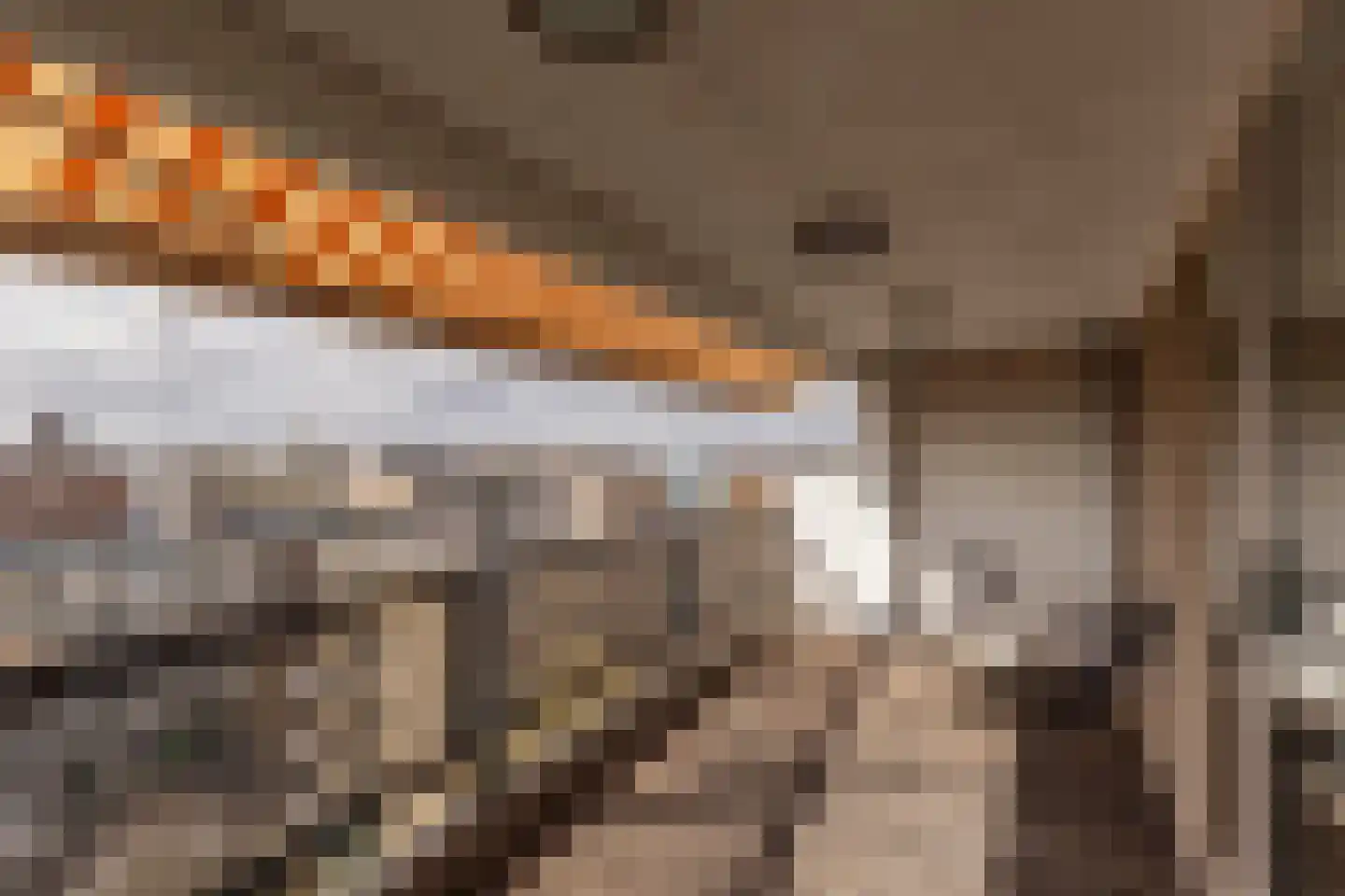 Plantagekade 32 Amsterdam thumbnail 9