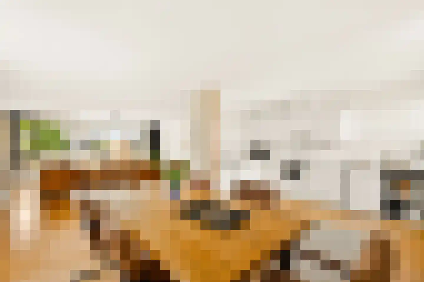 Plantagekade 65 Amsterdam thumbnail 10