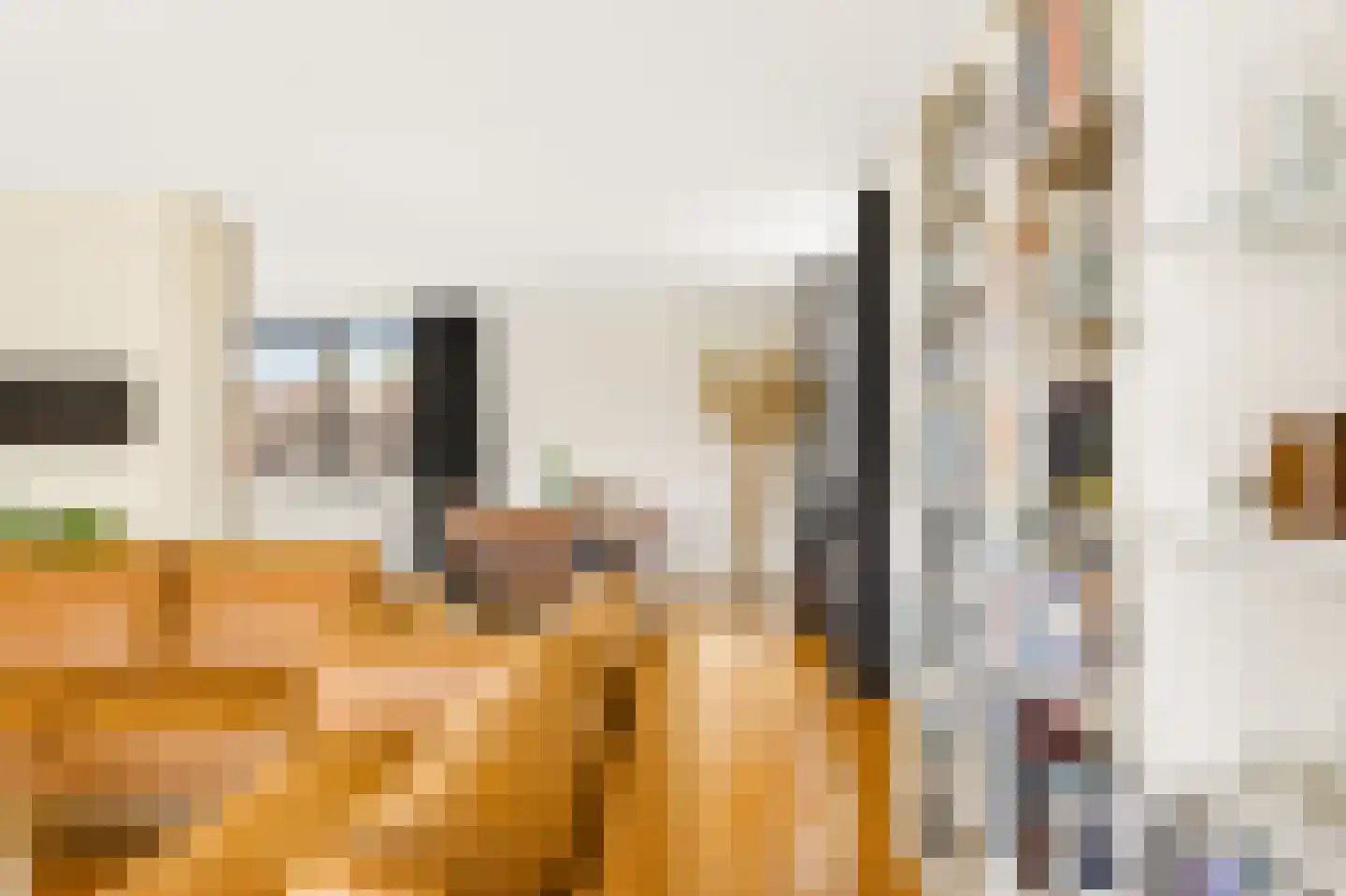 Plantagekade 65 Amsterdam thumbnail 11