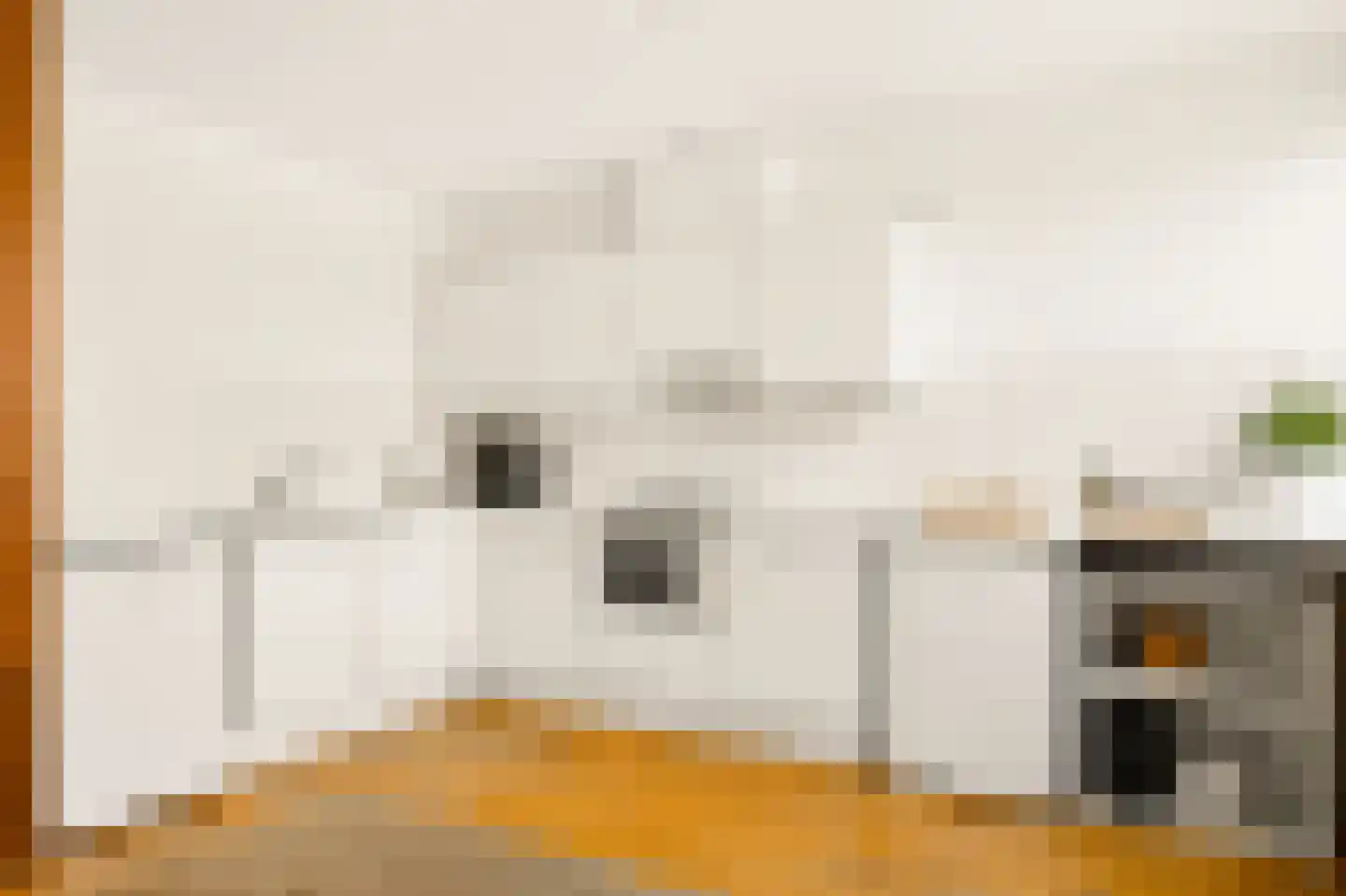 Plantagekade 65 Amsterdam thumbnail 12