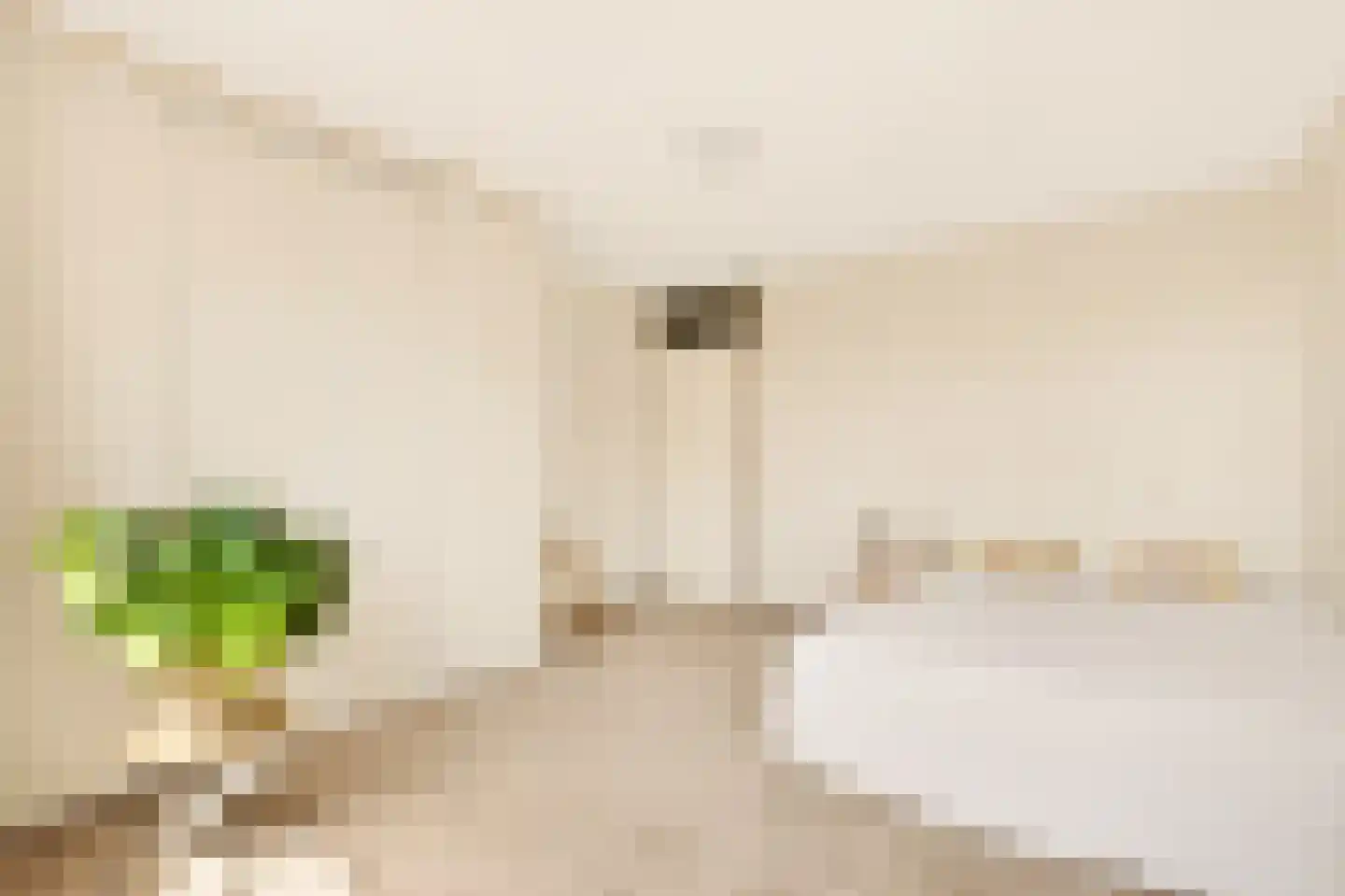 Plantagekade 65 Amsterdam thumbnail 19