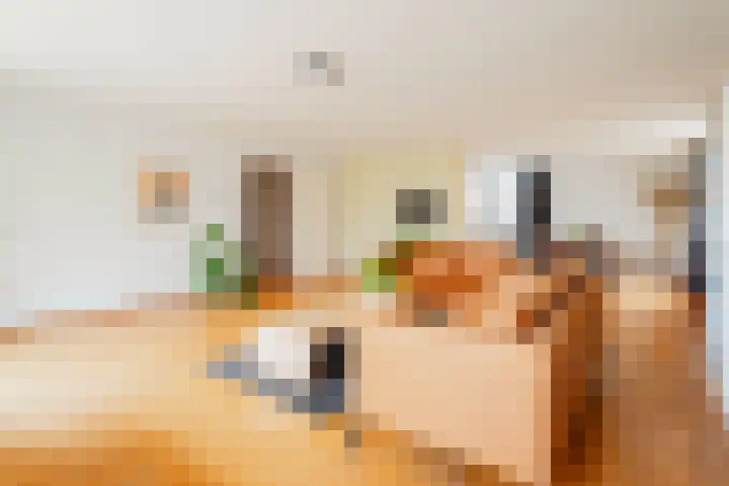 Plantagekade 65 Amsterdam thumbnail 5
