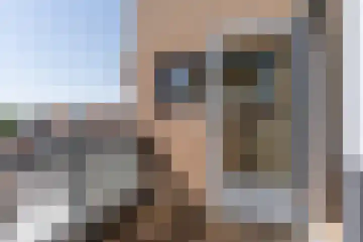 Plantagepolder 43 Houten thumbnail 11