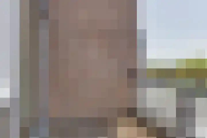 Plantagepolder 43 Houten thumbnail 12