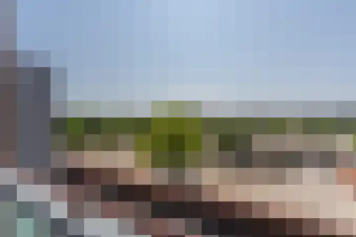Plantagepolder 43 Houten thumbnail 13
