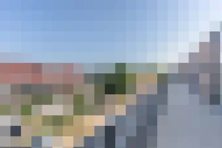 Plantagepolder 43 Houten thumbnail 34