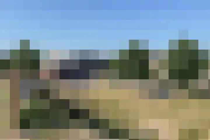 Plantagepolder 43 Houten thumbnail 36