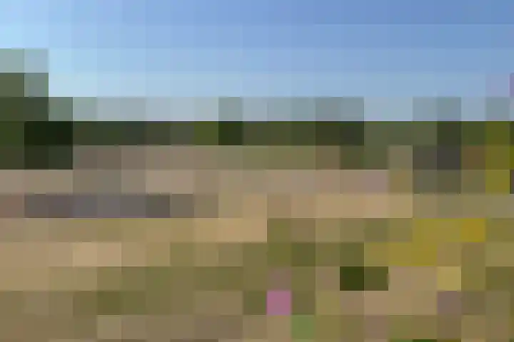 Plantagepolder 43 Houten thumbnail 37