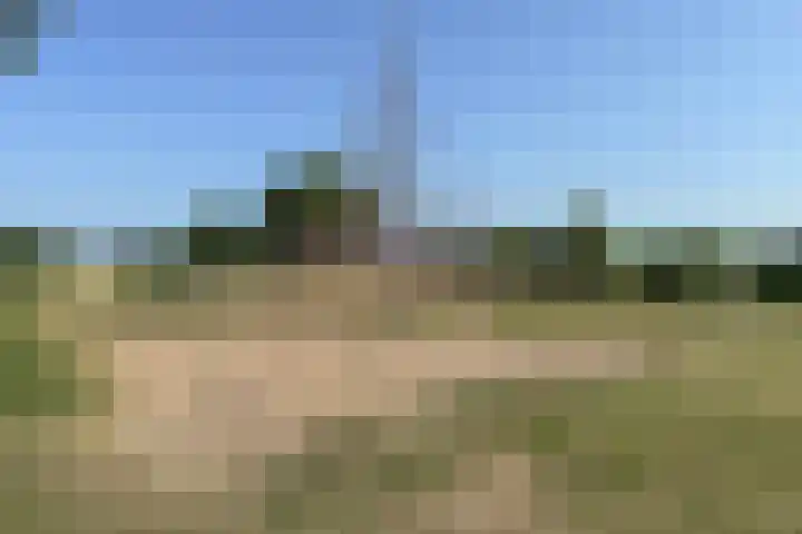 Plantagepolder 43 Houten thumbnail 39