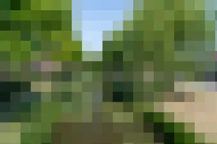 Plantagepolder 43 Houten thumbnail 40