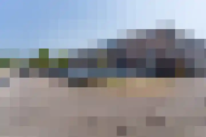Plantagepolder 43 Houten thumbnail 41
