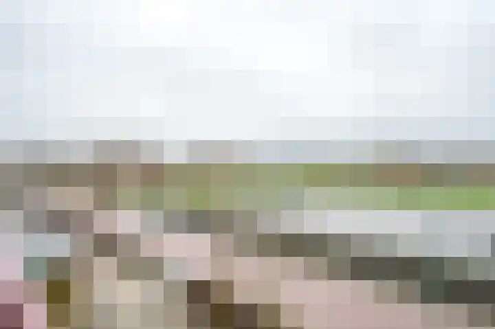 Plantagepolder 7 Houten thumbnail 21