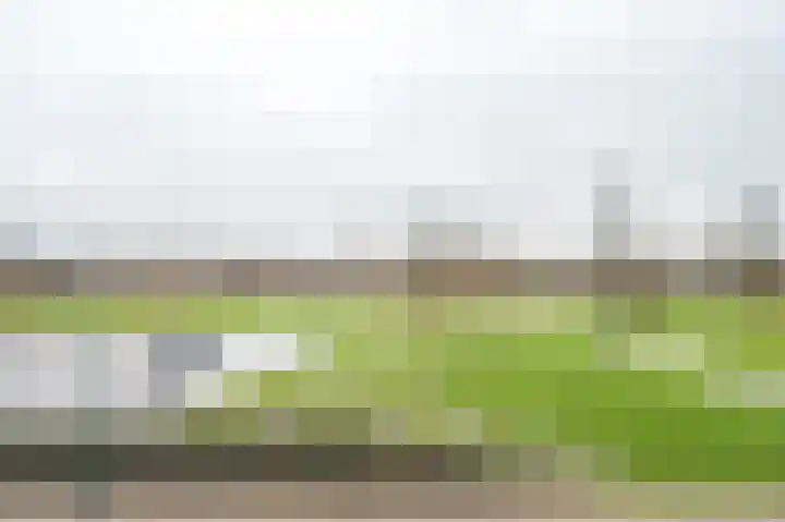 Plantagepolder 7 Houten thumbnail 22