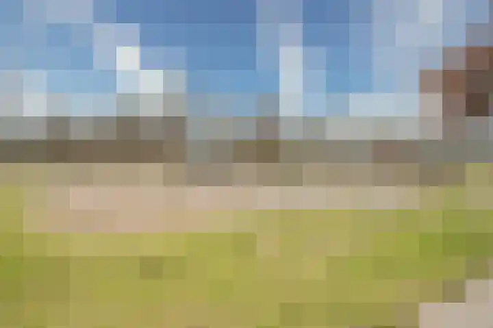 Plantagepolder 7 Houten thumbnail 31