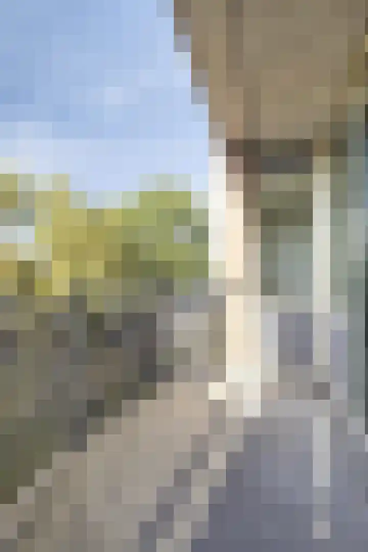 Plantagestraat 113 Rotterdam thumbnail 14