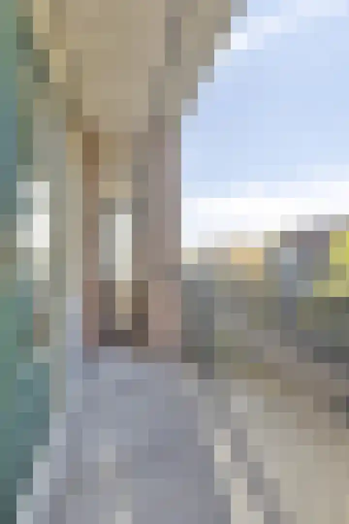 Plantagestraat 113 Rotterdam thumbnail 17