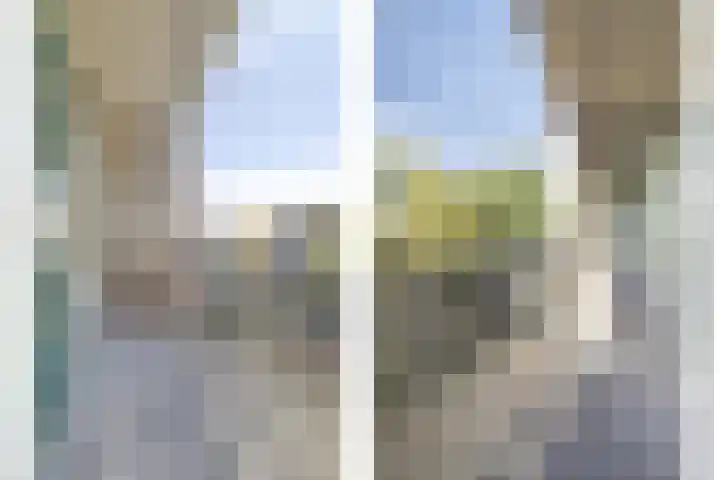 Plantagestraat 113 Rotterdam thumbnail 9