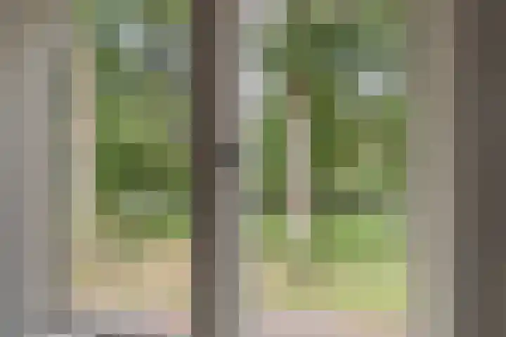 Plantagestraat 13 Tholen thumbnail 26