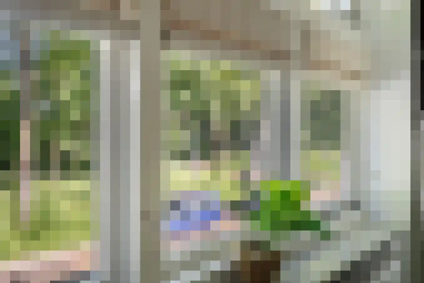 Plantagestraat 15 Tholen thumbnail 35