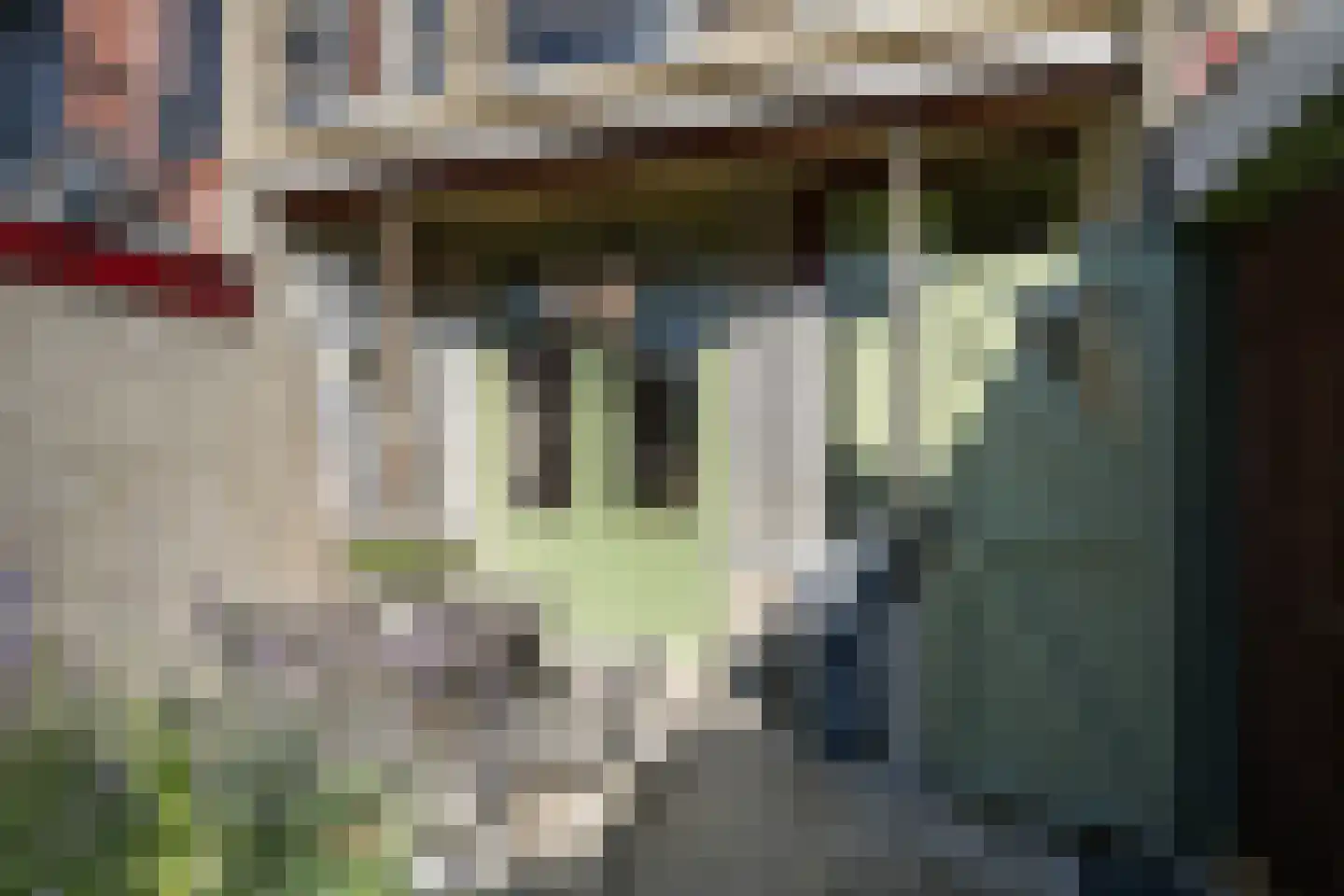 Plantagestraat 15 Tholen thumbnail 40