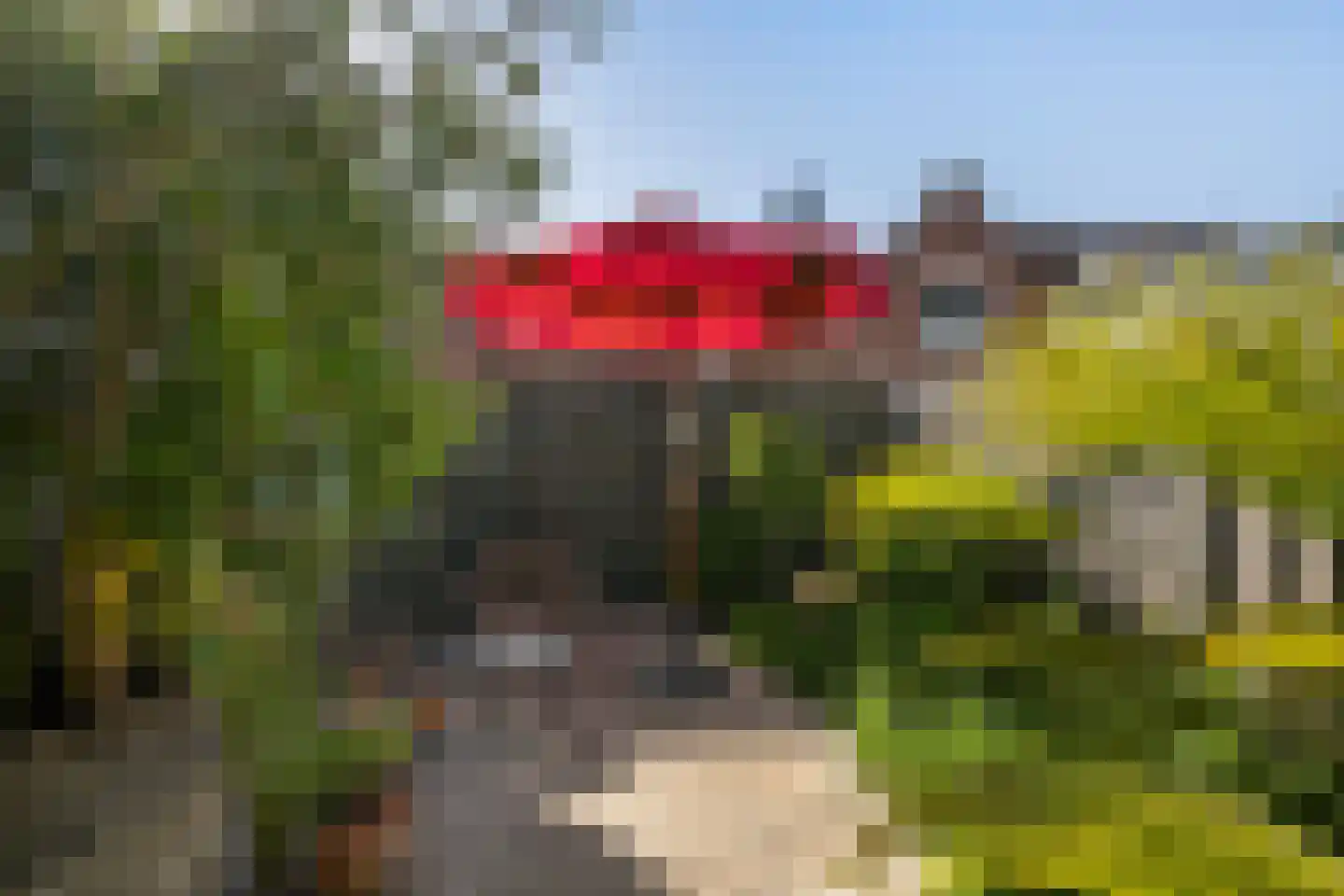 Plantagestraat 15 Tholen thumbnail 41